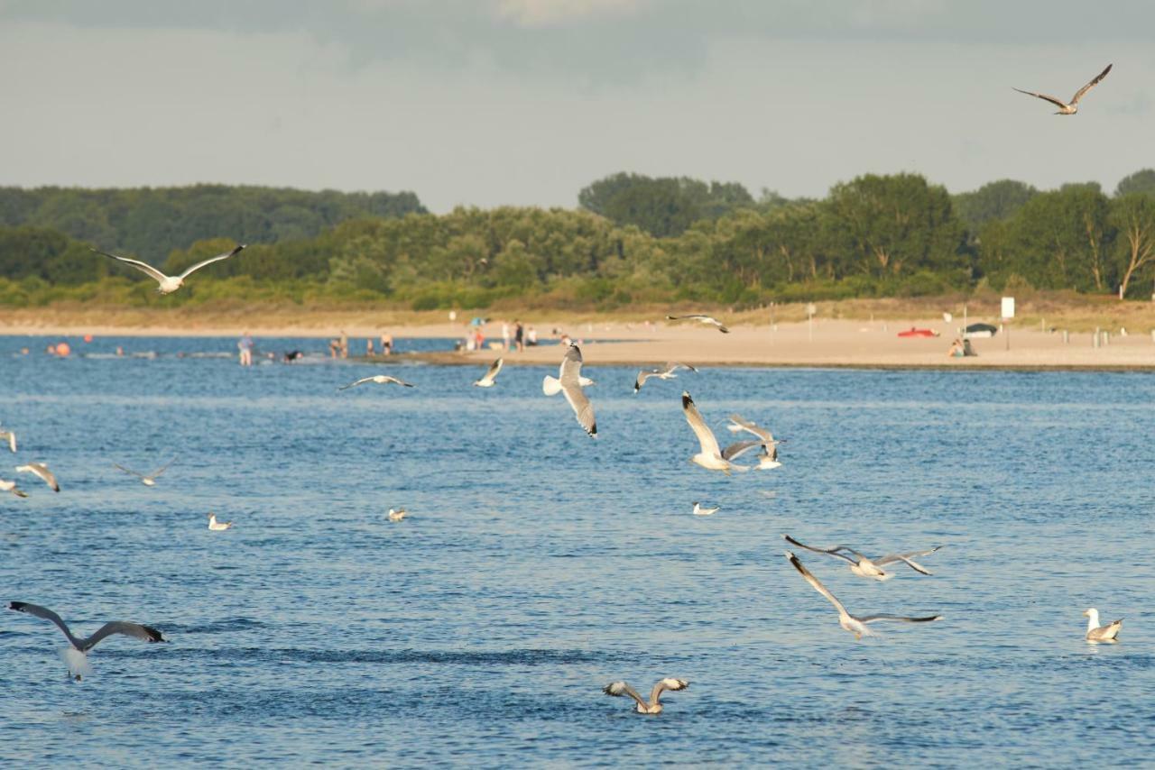 Ferienwohnung Sonnendeck Moba-Travel Priwall Zewnętrze zdjęcie